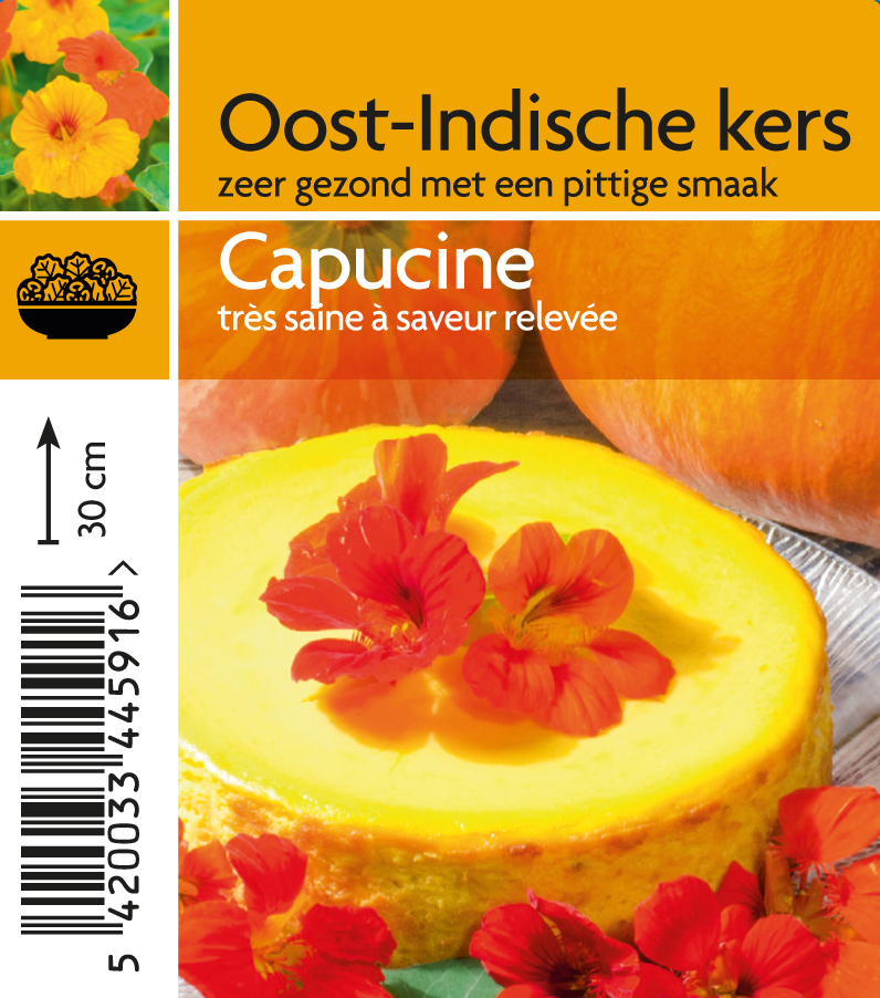 Oost-Indische kers pot 10.5 (tray 15 pot)